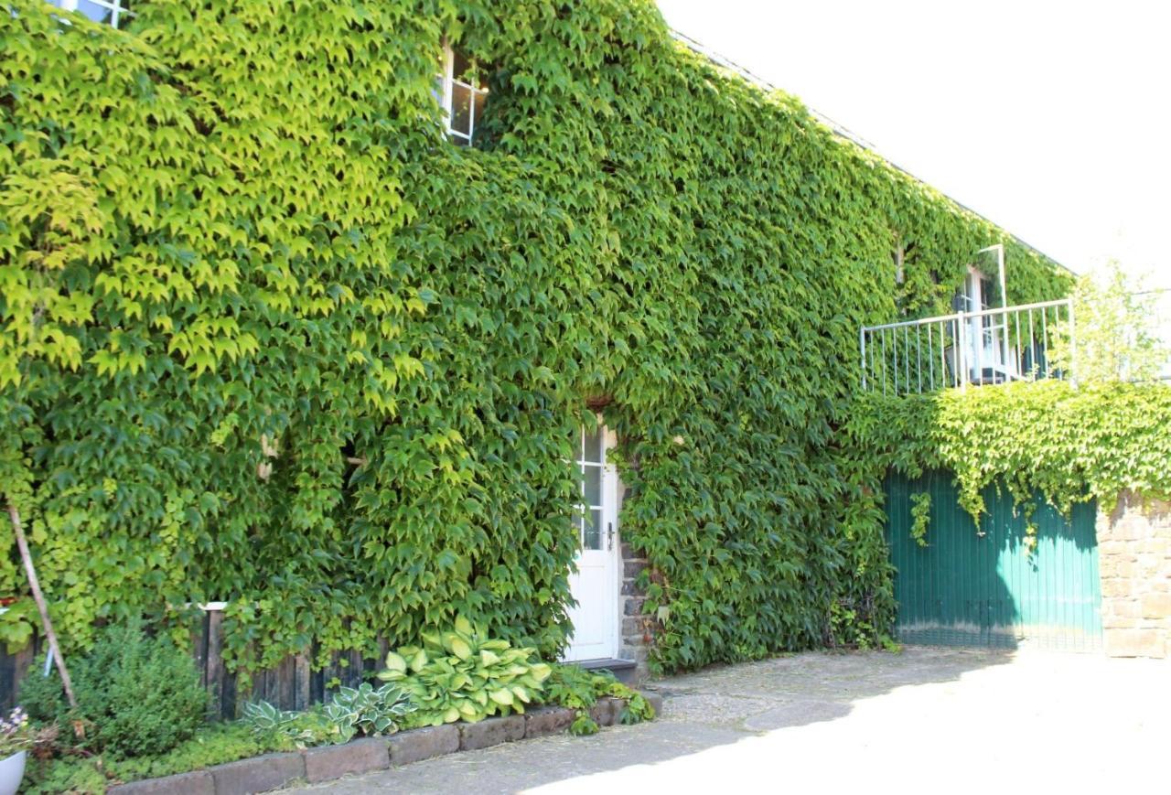 Victorhof Landurlaub Deine Auszeit Im Gruenen, Umgeben Von Wald & Wiesen *