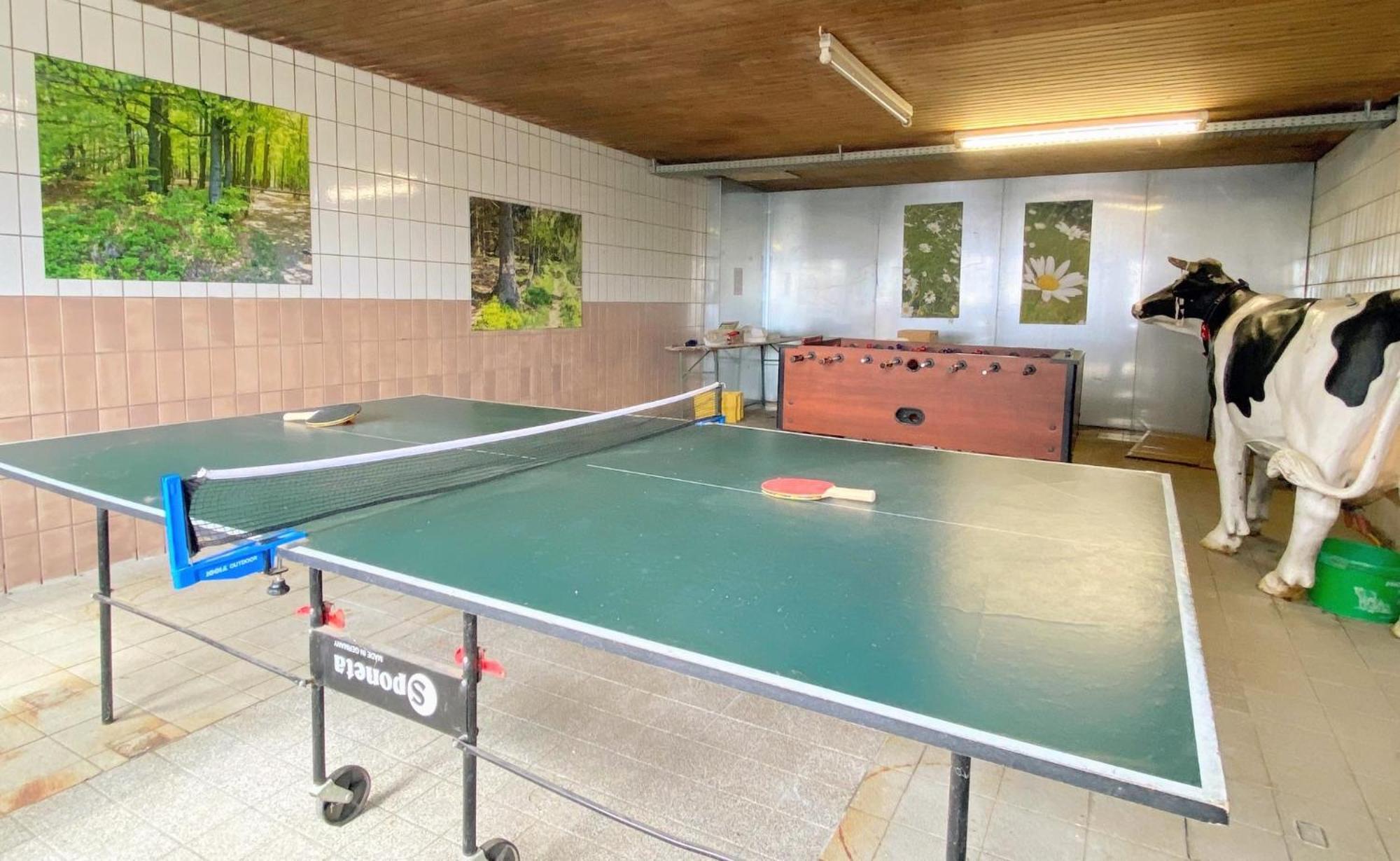 Victorhof Landurlaub Deine Auszeit Im Gruenen, Umgeben Von Wald & Wiesen *