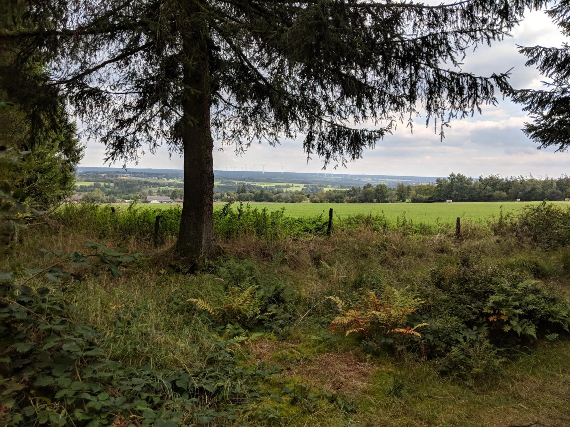Apartment Victorhof Landurlaub Deine Auszeit Im Gruenen, Umgeben Von Wald & Wiesen *